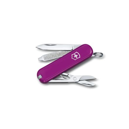 Victorinox Classic Colours Tasty Grape 58mm - Box